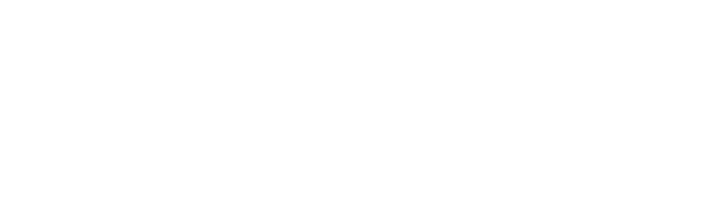 verysoft logo 2
